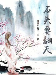 玉石墨仙记