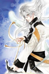至尊神魔凌风