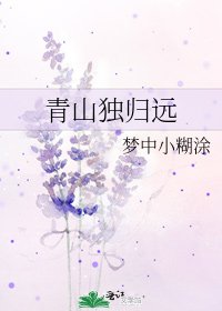 青山独归远